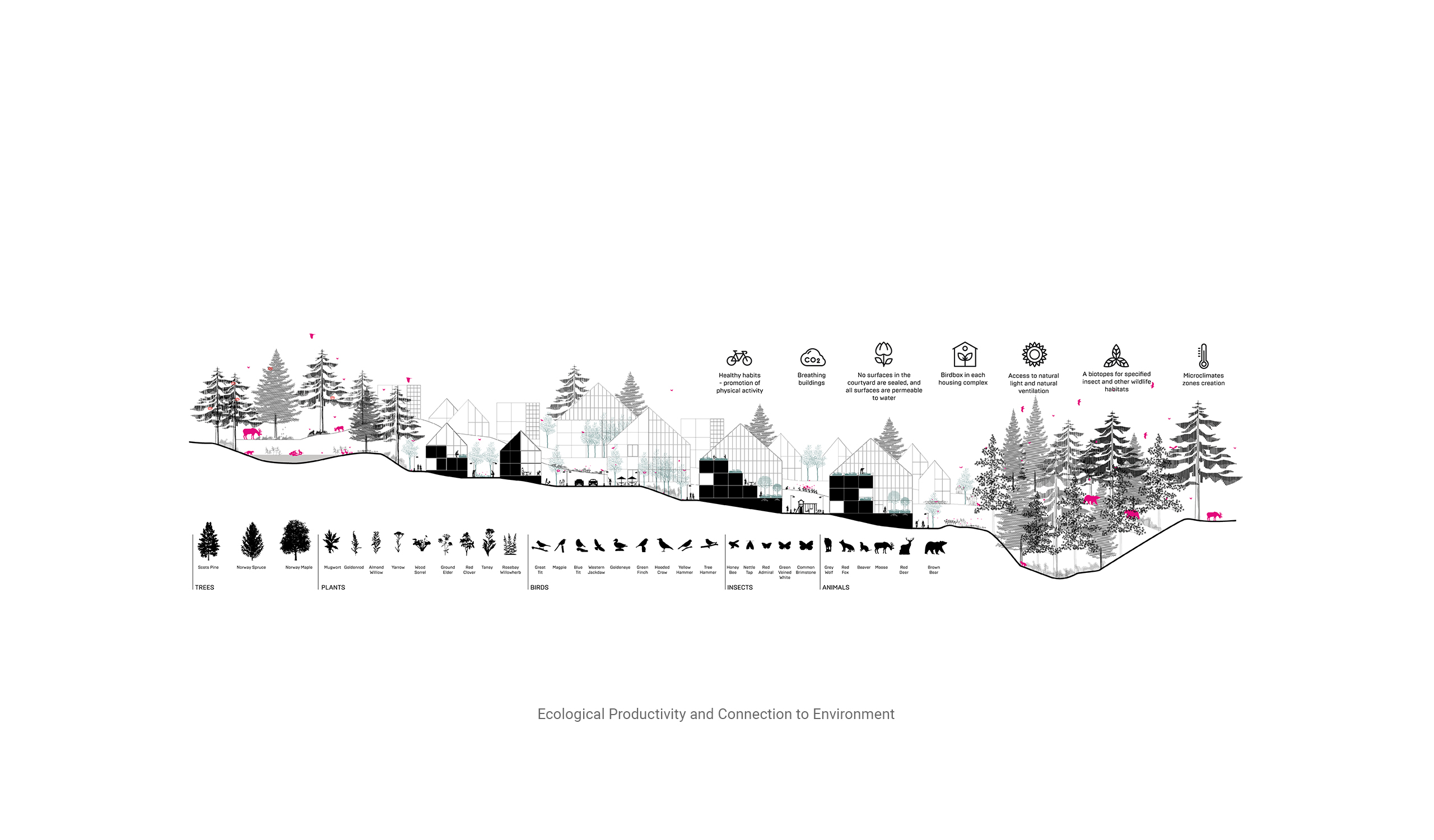 07-Norway-Ashrafi & Zad Design
