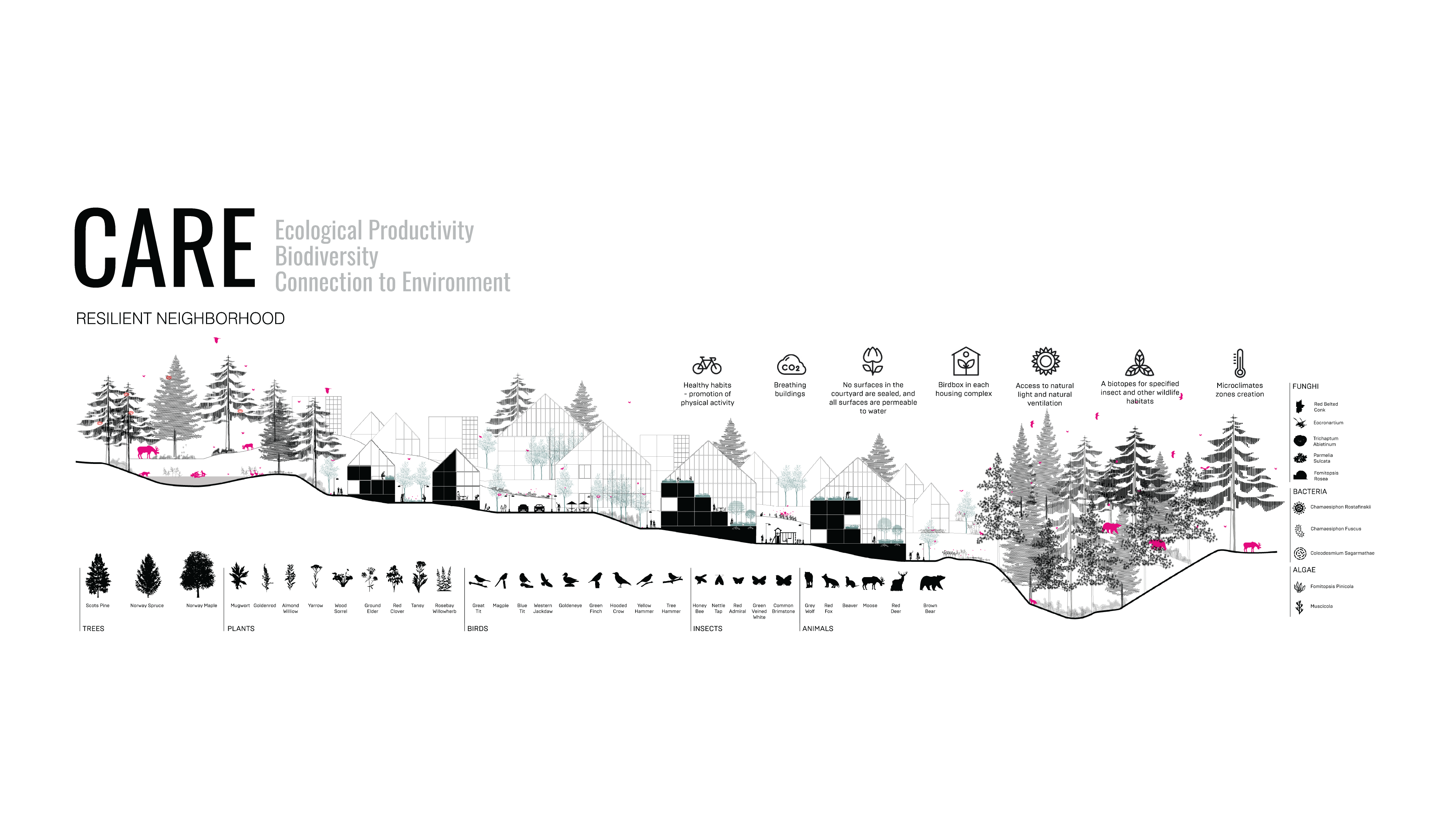 Norway-Ashrafi & Zad office-Post Diagrams-01