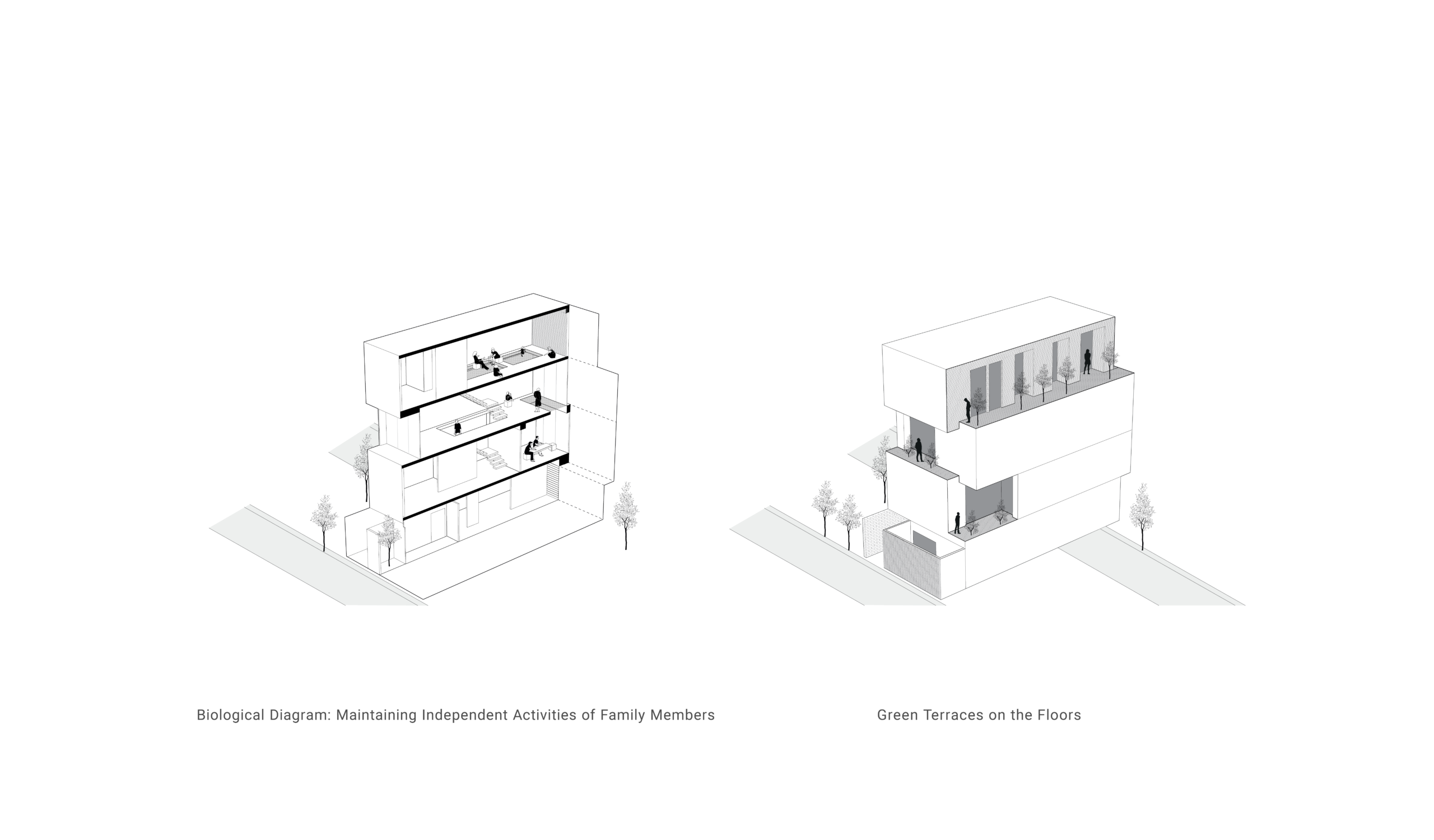 06-Alley House-Ashrafi & Zad Design