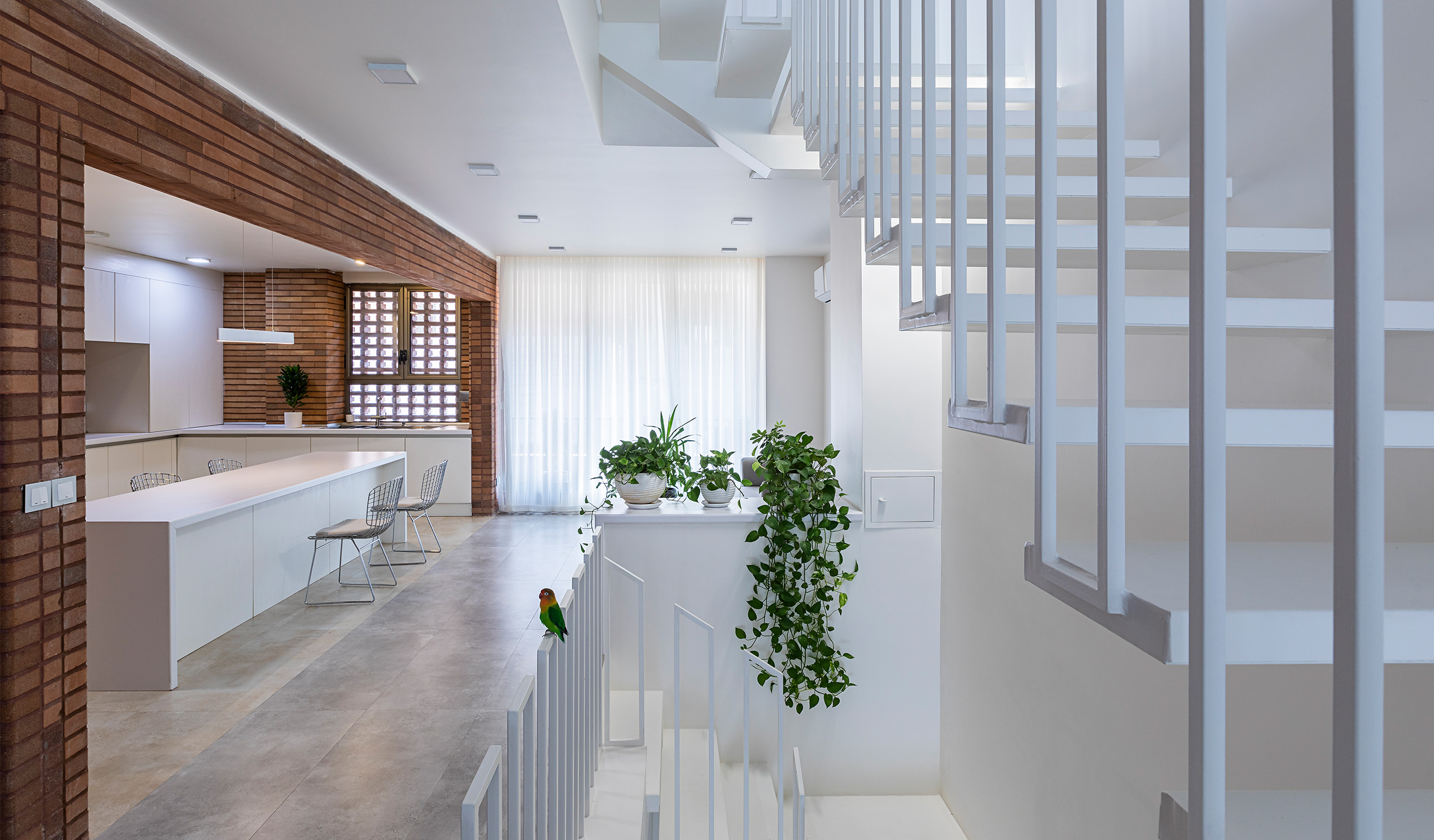 07-Alley House-Ashrafi & Zad Design