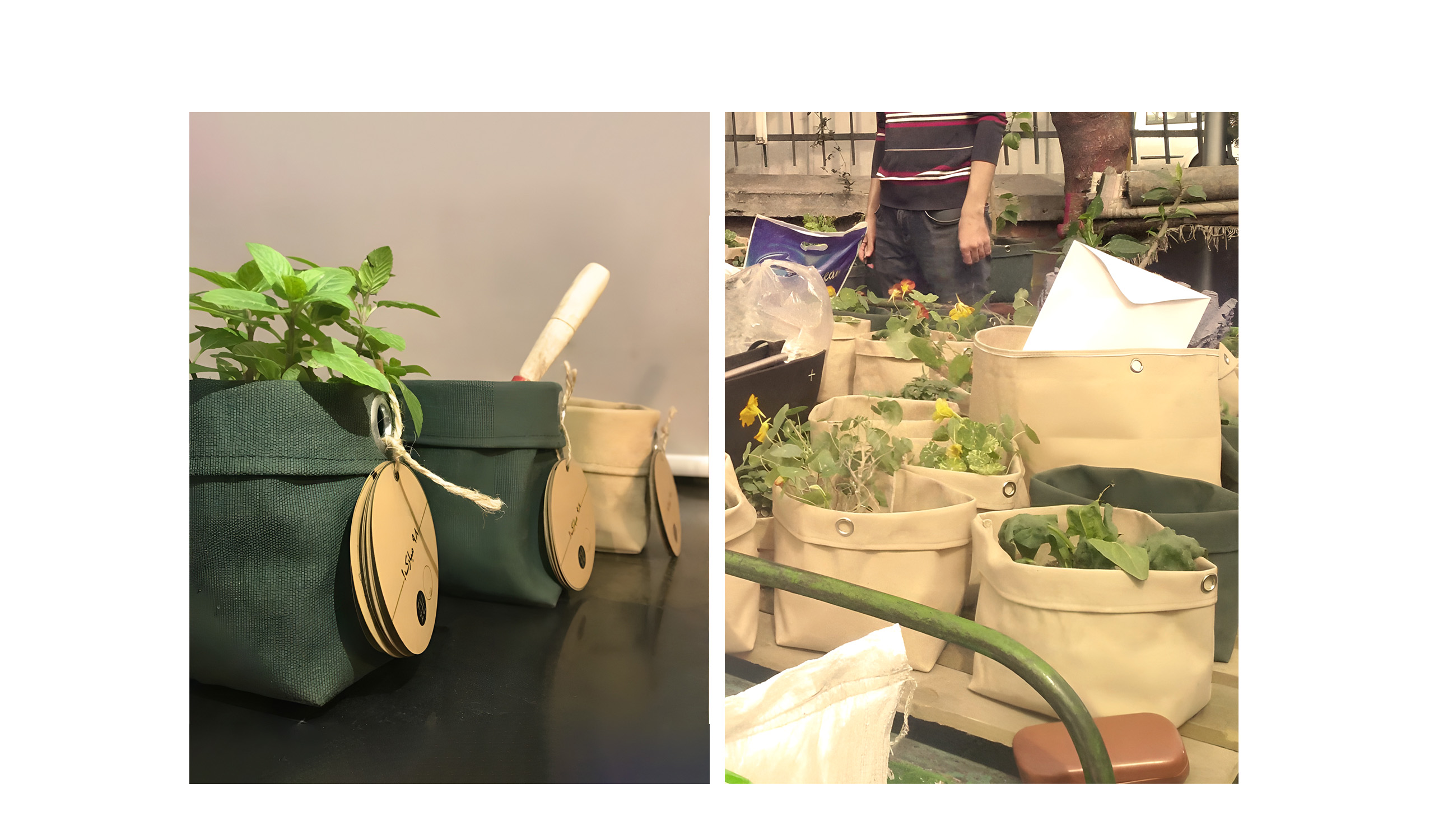 Green Leftovers-2